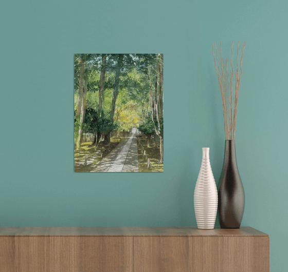 Early Summer Light on the Temple Path
