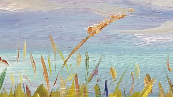 Sunny morning delights on the cliffs - wild grasses and blue seas