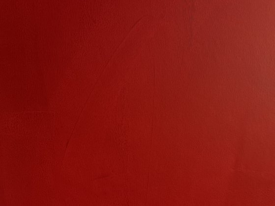 Red Horizon
