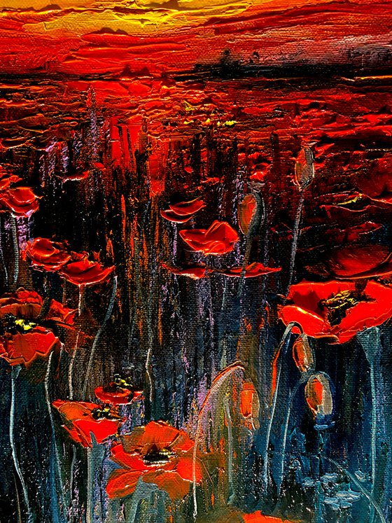 Poppies