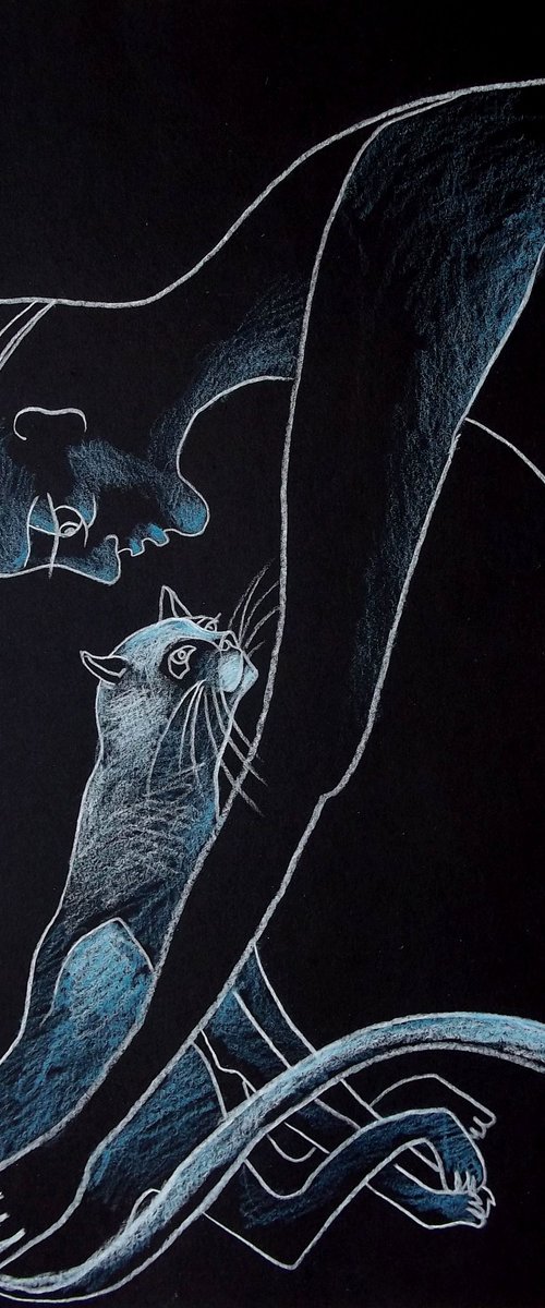 CAT'S SKY by Elisheva Nesis