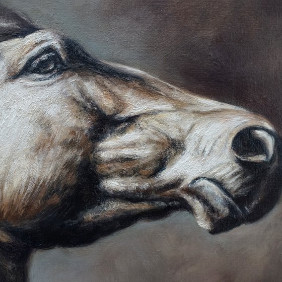 Power and Elegance - Original Horse Portrait