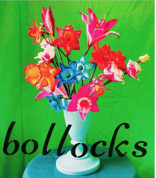 BOLLOCKS by Hannah Shillito