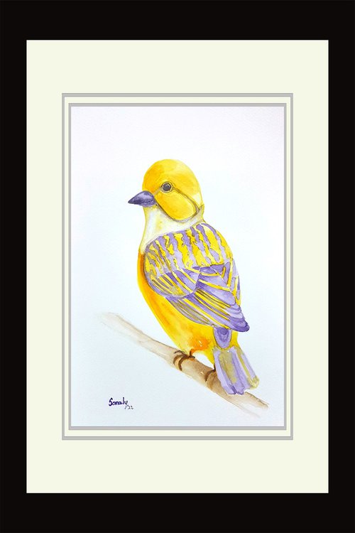 WATERCOLOR - BIRDS 4 by Sonaly Gandhi