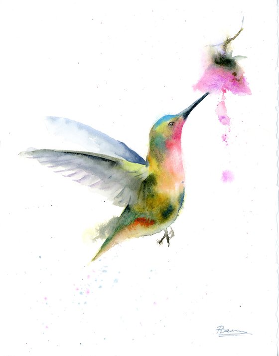 Colorful Hummingbird and flower
