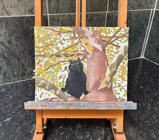 Cat In The Tree