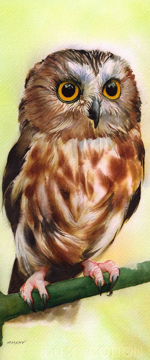 Little Cute Owl by REME Jr.