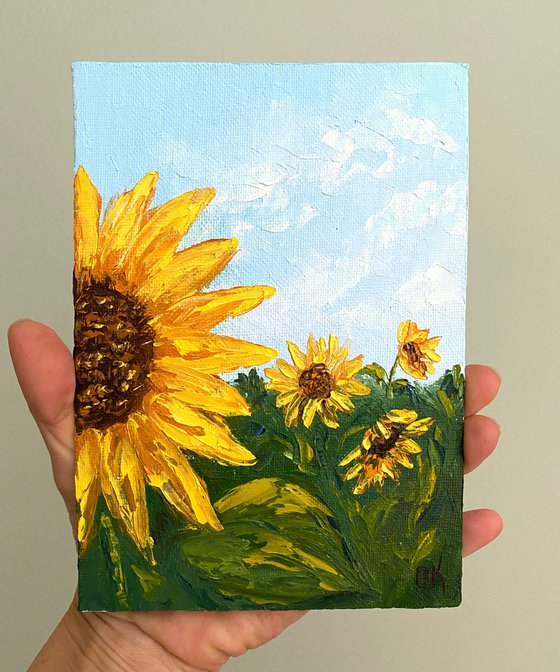 Sunflower field