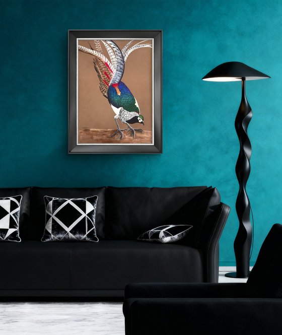 LADY AMHERST’S PHEASANT