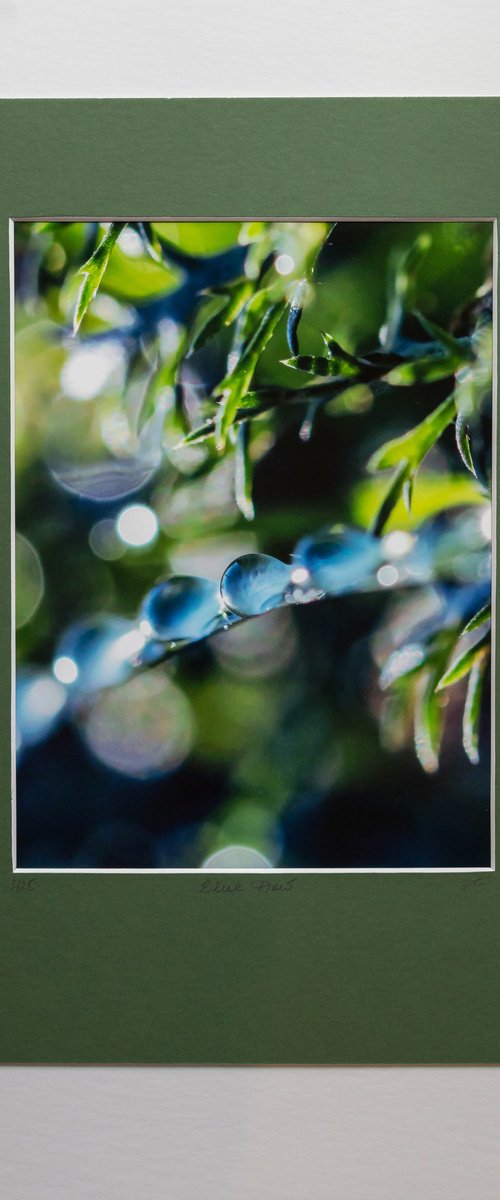 Blue Dew - matted by Inna Etuvgi