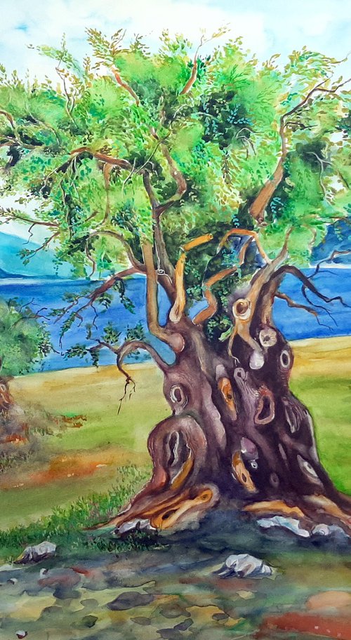 Olive Tree by the Sea by Zoran Mihajlović Muza