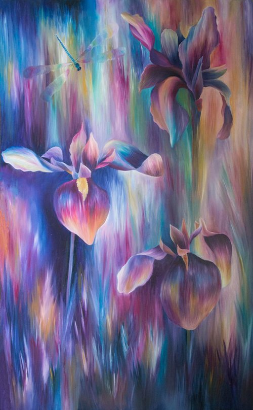 Irises by Claire  Harrison