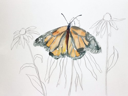 Monarch Study No. 12 by Elizabeth Becker