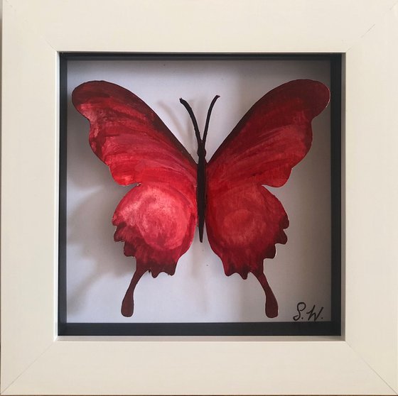 Single Butterfly Box - crimson