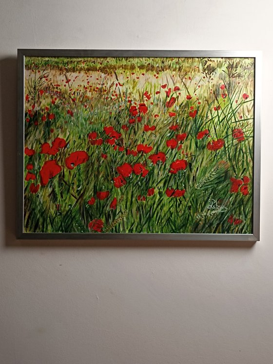 Red poppies flowers