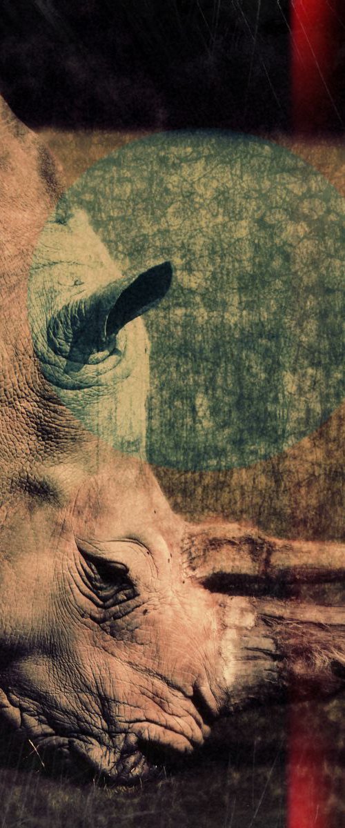 Rhinoceros Cinema by Nadia Attura