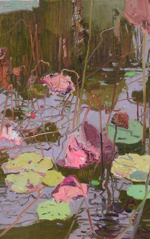 Waterlilies in pond 200 by jianzhe chon