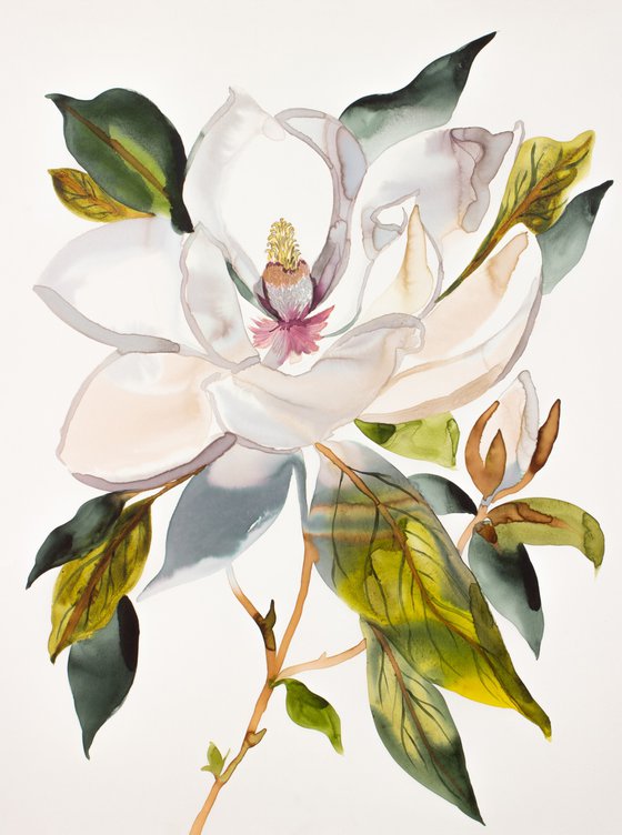 Magnolia No. 66