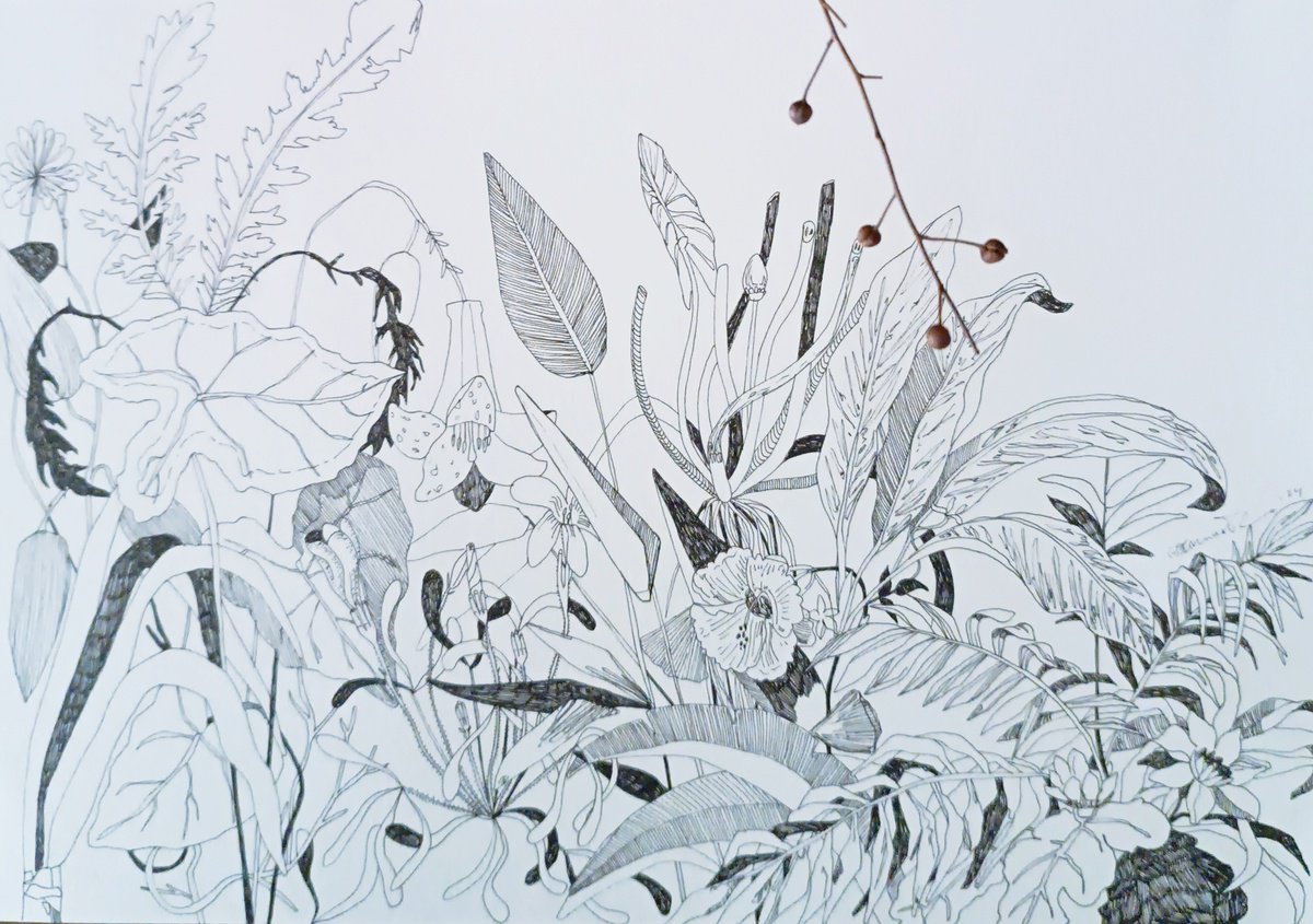 Illustrative Drawing , Draw 25.0 By Isabellangela Germinario, 16 X 12, Artwork For Sale On Artfinder