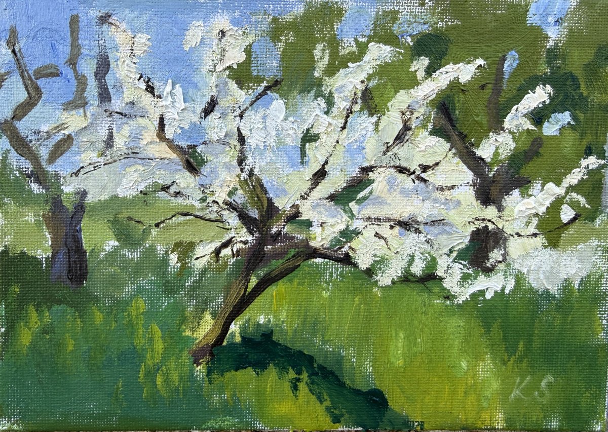 Blooming By Kate Sosonna, 7 X 5, Artwork For Sale On Artfinder
