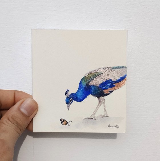 Peacock Miniature Art