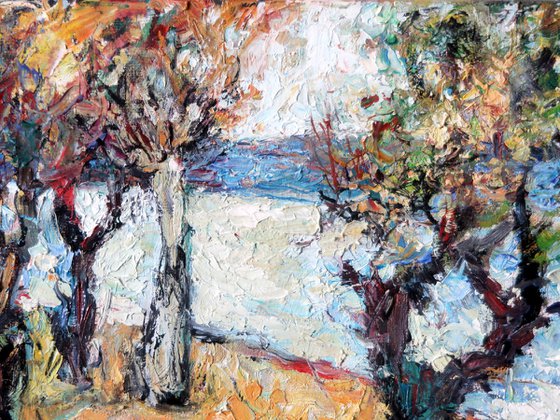 Trees above the river.