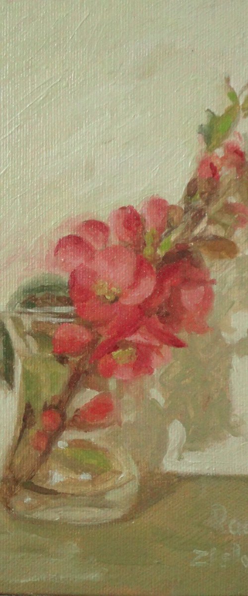 Spring Flower by Radosveta Zhelyazkova