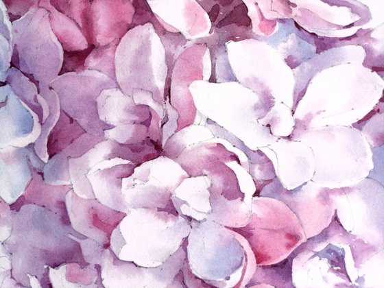 Original watercolor painting "Thousand Shades of Lilac Flowers"