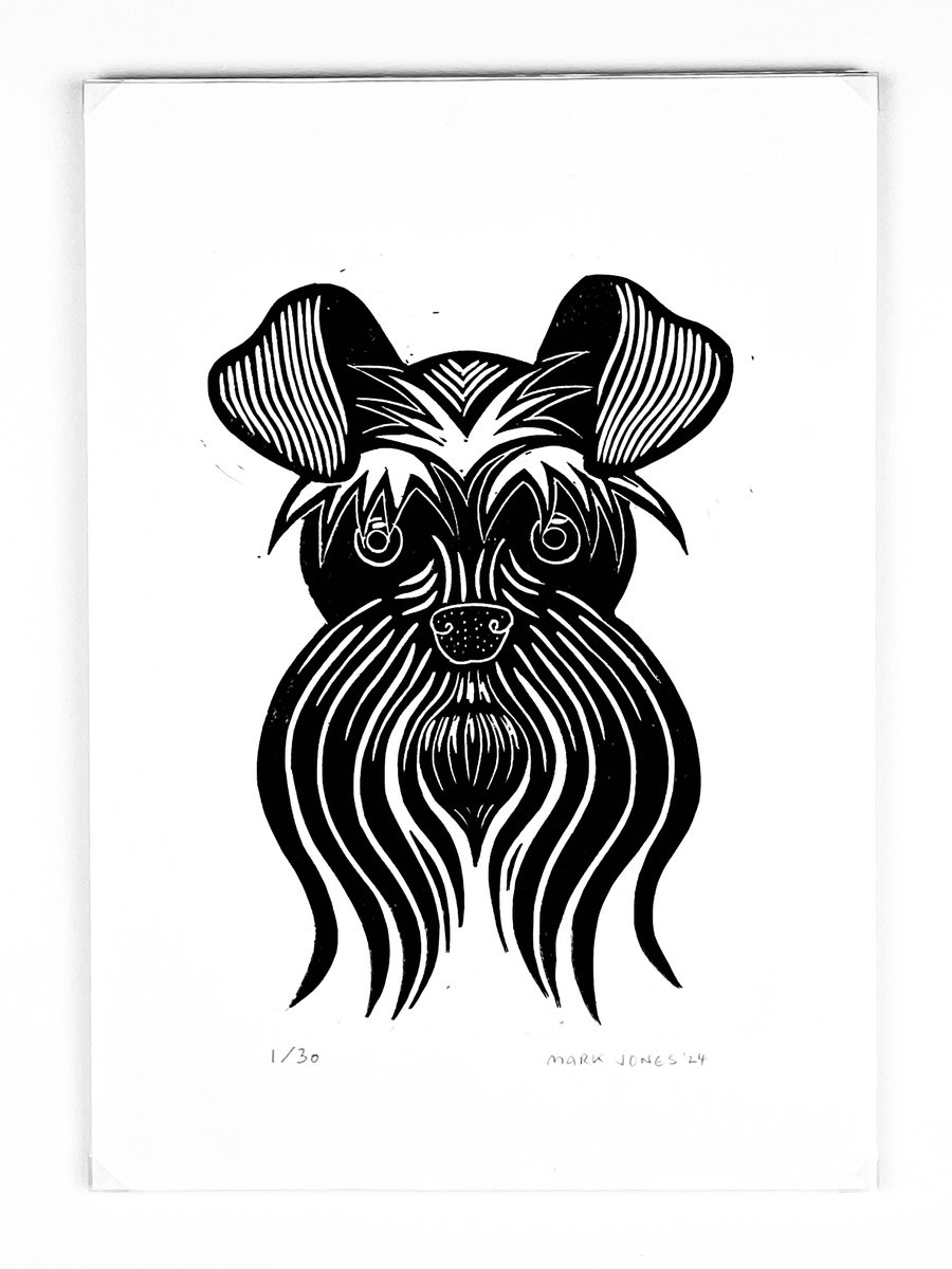 Schnauzer by Mark Howard Jones