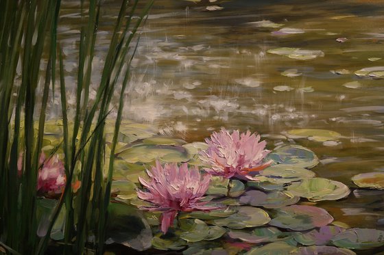 "Morning Harmony"