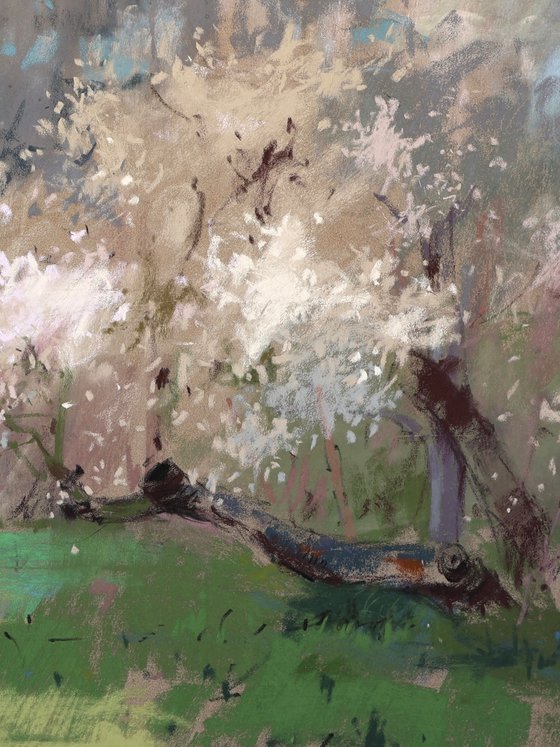 Clouds Here and There