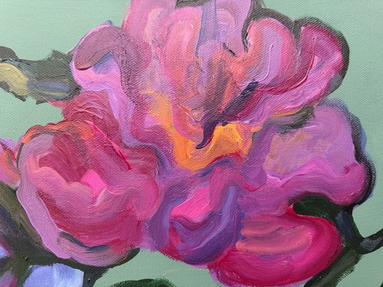 Flowers 7