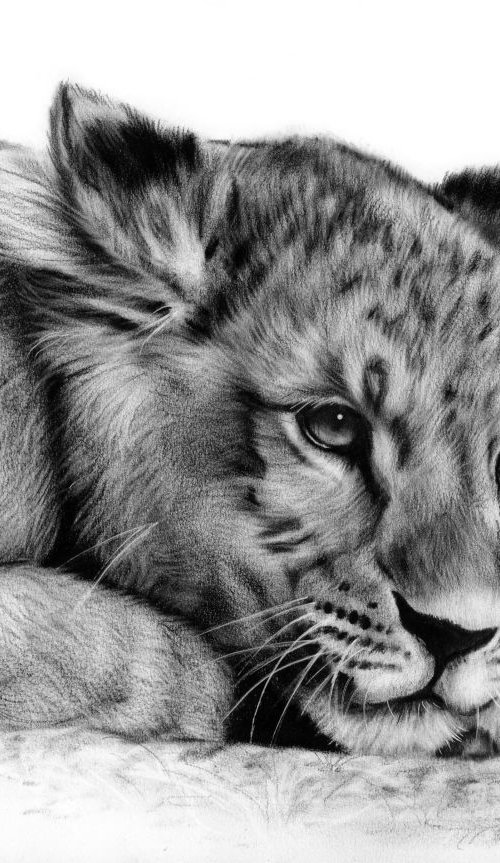 Lion Cub by Danguole Serstinskaja