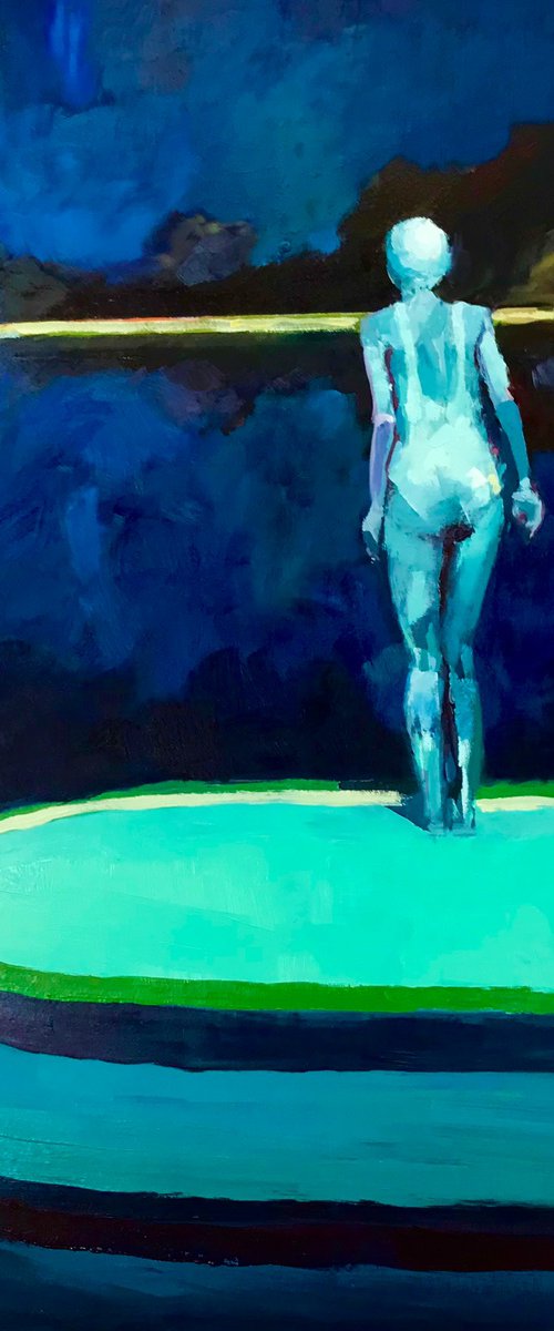 Dusk Swim by Joe Mcdonald