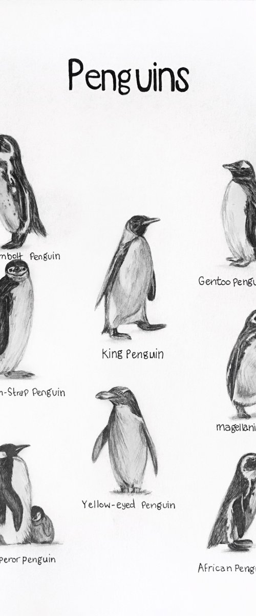 “Penguins” by Amelia Taylor