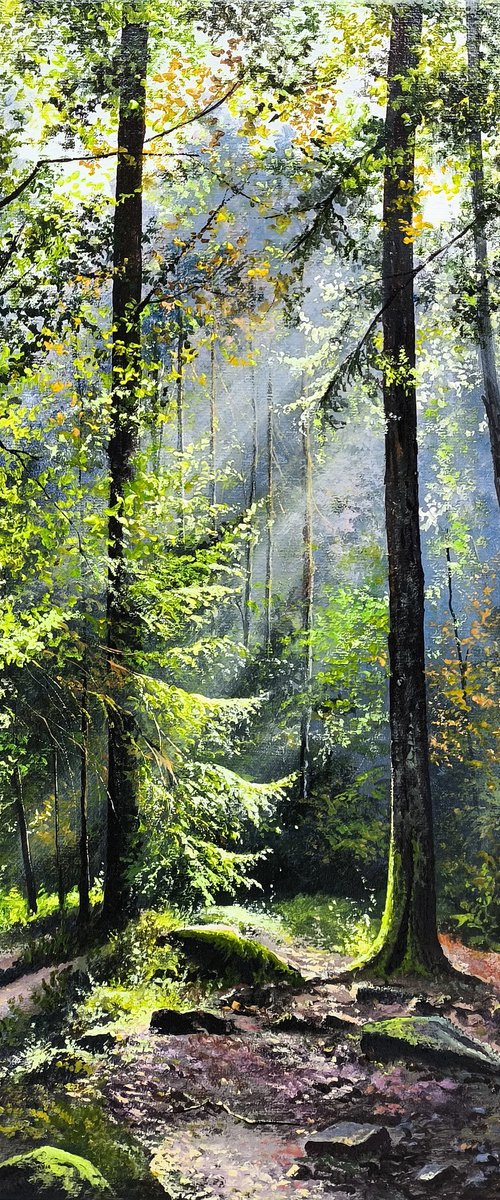 Light Through the Canopy by Sergei Miqaielyan