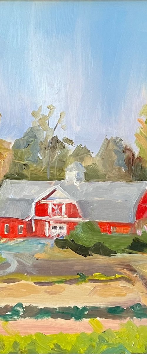 A Glorious Morning @ Ramble Rill Farm (Hillsborough, NC) by Katherine Jennings