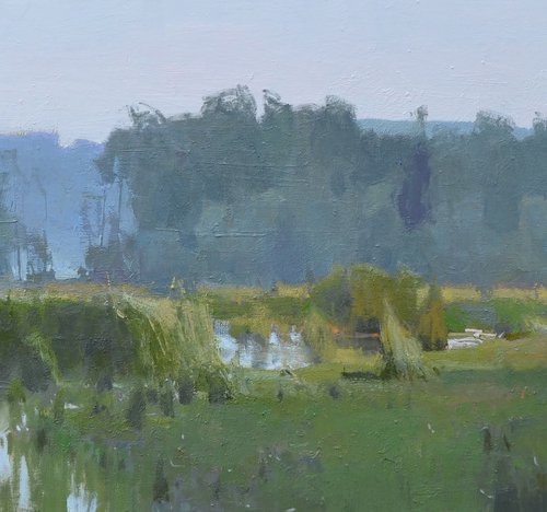 Shallow Stream by Vytautas Laisonas