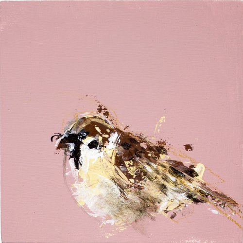 Happy piou Sparrow by Laurent Bergues