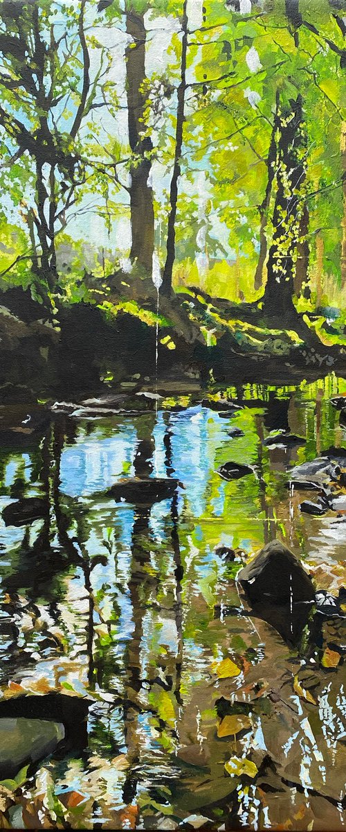 Nidd Gorge Woodland by Helen Sinfield