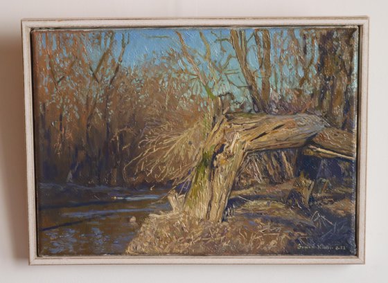 A broken tree near the Likhoborka River