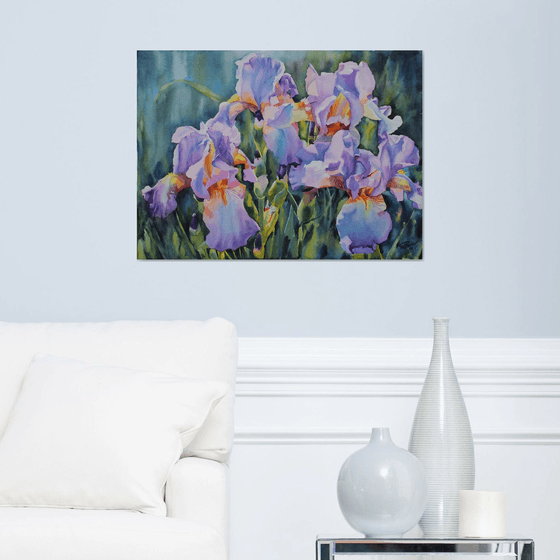 PINK IRISES#4