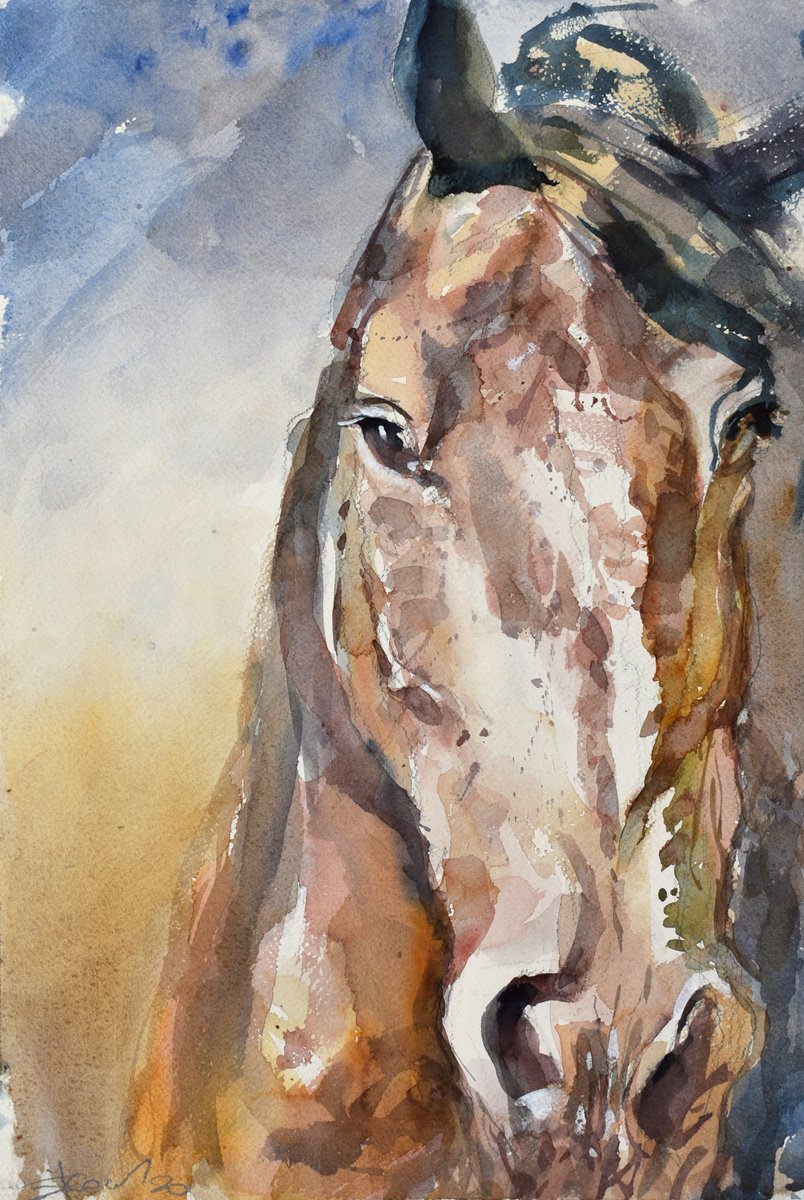 Animal Watercolour By Goran Zigolic Watercolors, 15 X 22, Horse Head, Original Artwork