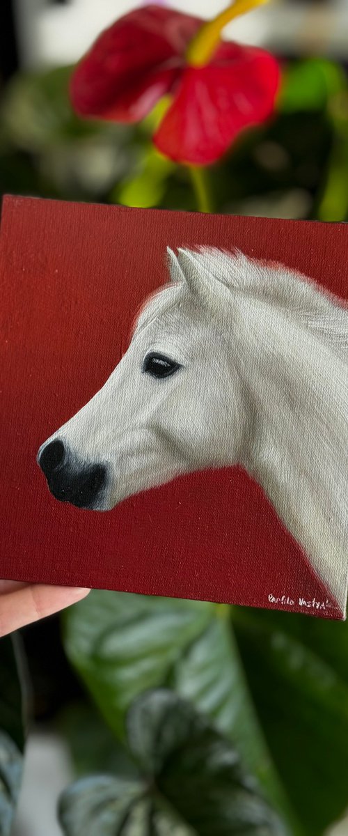 Horse Portrait 19 by Anastasia Parfilo