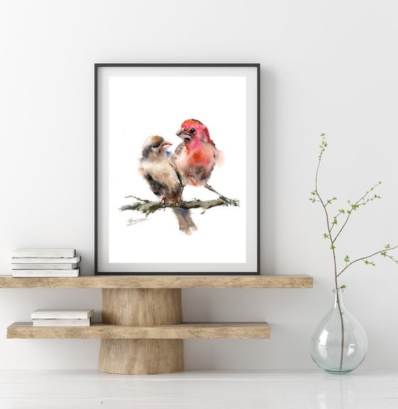 Two purple finches