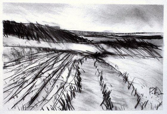 Pennsylvania Fields 3