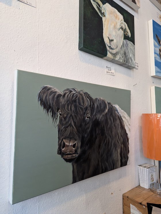 Lonesome Cow