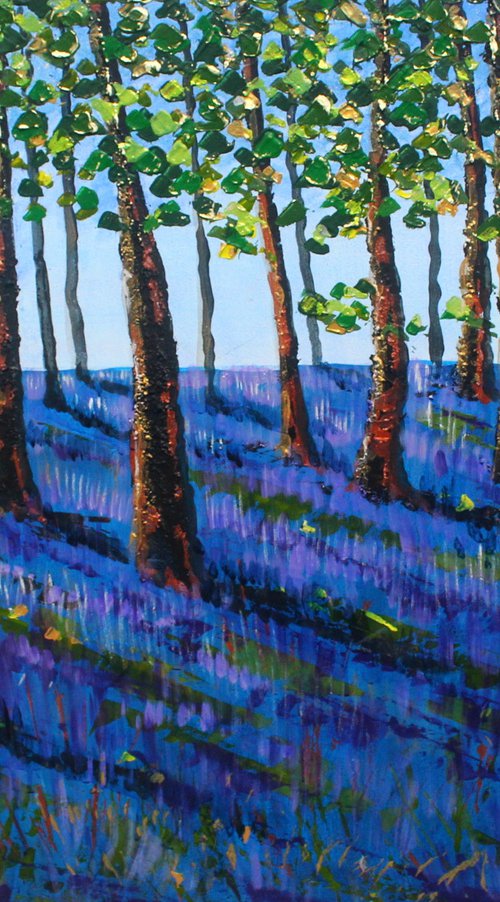 Bluebell wood IV by Paul J Best