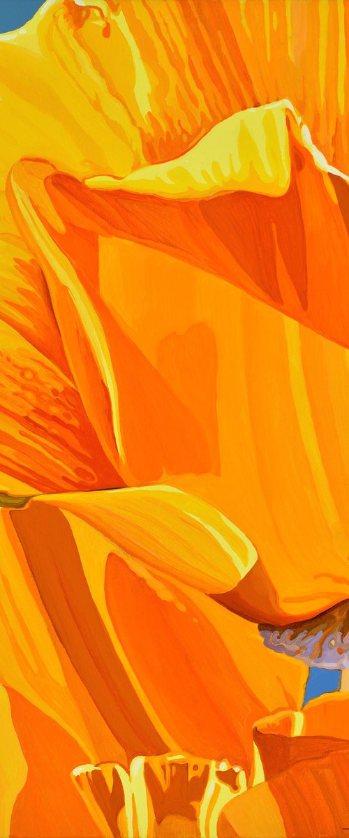 Californian Poppy and Wind #5 by Alex Nizovsky