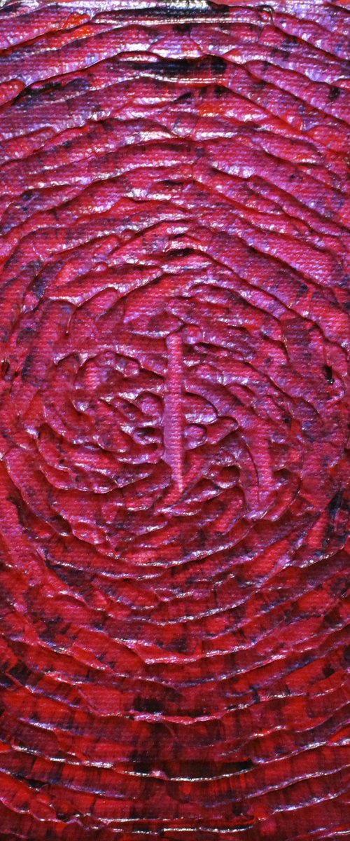 Small iridescent red pink shine by Jonathan Pradillon